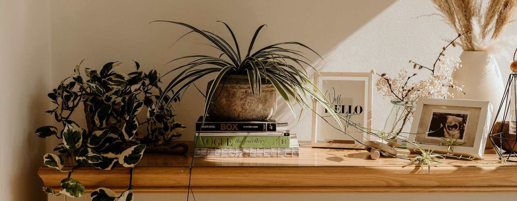 bureau top decorated with potted plants, books and framed pictures
